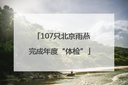 107只北京雨燕完成年度“体检”