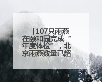 107只雨燕在颐和园完成“年度体检”，北京雨燕数量已超一万只