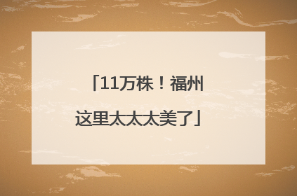 11万株！福州这里太太太美了