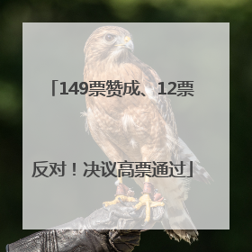 149票赞成、12票反对！决议高票通过