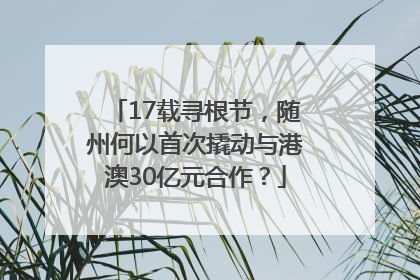 17载寻根节，随州何以首次撬动与港澳30亿元合作？