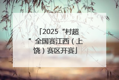 2025“村超”全国赛江西（上饶）赛区开赛