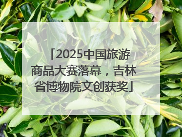 2025中国旅游商品大赛落幕，吉林省博物院文创获奖