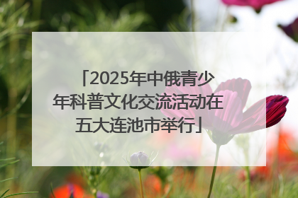 2025年中俄青少年科普文化交流活动在五大连池市举行