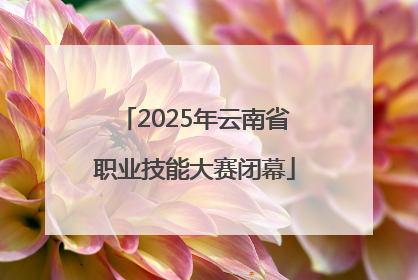 2025年云南省职业技能大赛闭幕