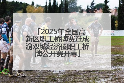 2025年全国高新区职工桥牌赛暨成渝双城经济圈职工桥牌公开赛开幕