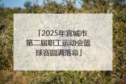 2025年宜城市第二届职工运动会篮球赛圆满落幕