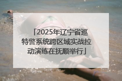 2025年辽宁省巡特警系统跨区域实战拉动演练在抚顺举行