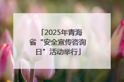 2025年青海省“安全宣传咨询日”活动举行