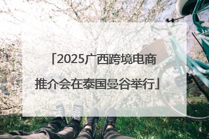 2025广西跨境电商推介会在泰国曼谷举行