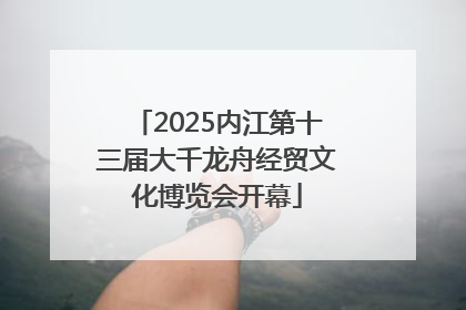 2025内江第十三届大千龙舟经贸文化博览会开幕