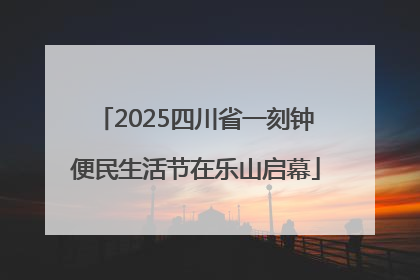 2025四川省一刻钟便民生活节在乐山启幕