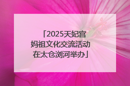 2025天妃宫妈祖文化交流活动在太仓浏河举办