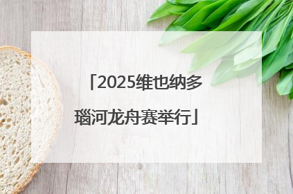 2025维也纳多瑙河龙舟赛举行