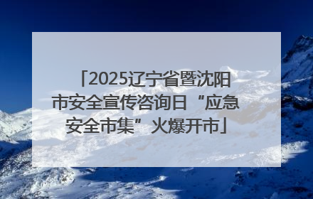 2025辽宁省暨沈阳市安全宣传咨询日“应急安全市集”火爆开市
