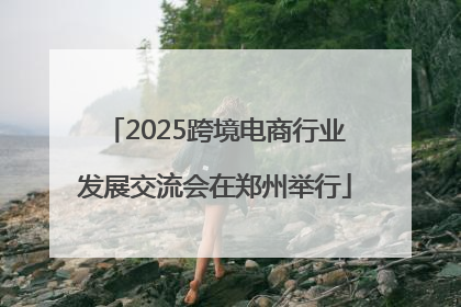 2025跨境电商行业发展交流会在郑州举行