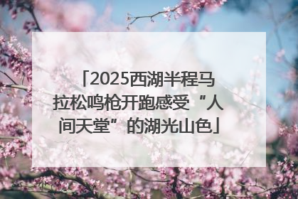 2025西湖半程马拉松鸣枪开跑感受“人间天堂”的湖光山色