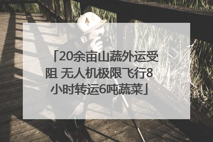 20余亩山蔬外运受阻 无人机极限飞行8小时转运6吨蔬菜