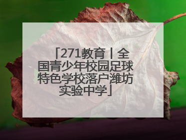 271教育丨全国青少年校园足球特色学校落户潍坊实验中学