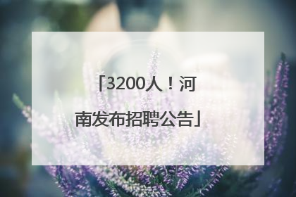 3200人！河南发布招聘公告