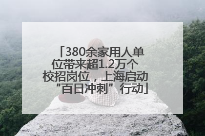 380余家用人单位带来超1.2万个校招岗位，上海启动“百日冲刺”行动