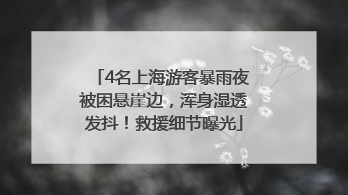 4名上海游客暴雨夜被困悬崖边，浑身湿透发抖！救援细节曝光