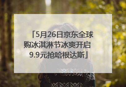 5月26日京东全球购冰淇淋节冰爽开启 9.9元抢哈根达斯