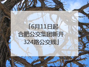 6月11日起 合肥公交集团新开324路公交线