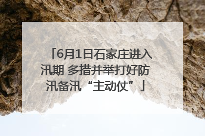 6月1日石家庄进入汛期 多措并举打好防汛备汛“主动仗”