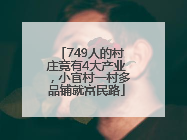 749人的村庄竟有4大产业，小官村一村多品铺就富民路