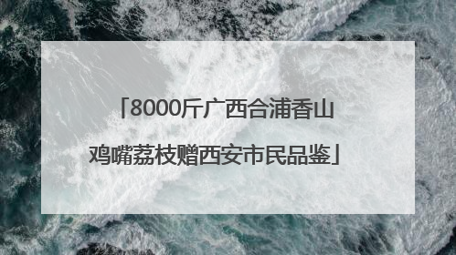 8000斤广西合浦香山鸡嘴荔枝赠西安市民品鉴