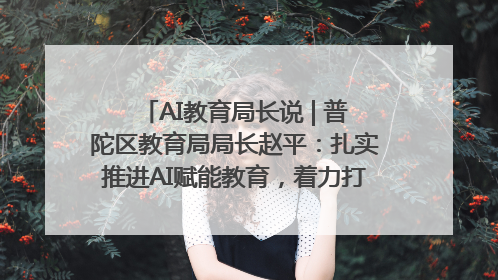 AI教育局长说 | 普陀区教育局局长赵平：扎实推进AI赋能教育，着力打造“适合教育”新体系