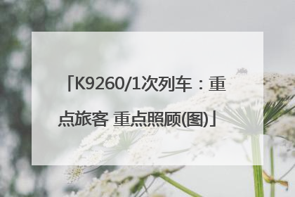 K9260/1次列车：重点旅客 重点照顾(图)